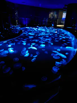 すみだ水族館に投稿された画像（2021/2/28）