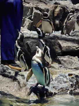 すみだ水族館に投稿された画像（2021/2/28）