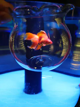 すみだ水族館に投稿された画像（2021/2/28）