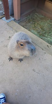 横浜・八景島シーパラダイスに投稿された画像（2021/2/28）