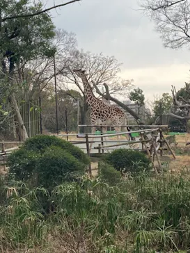 天王寺動物園に投稿された画像（2021/2/28）