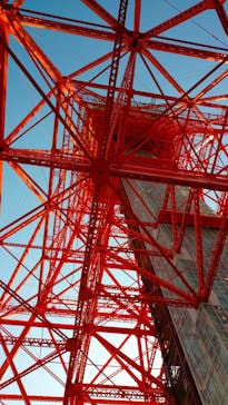 東京タワーに投稿された画像（2021/2/28）