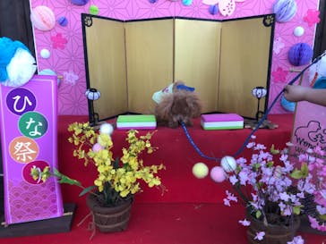 わんダフルネイチャーヴィレッジに投稿された画像（2021/2/28）