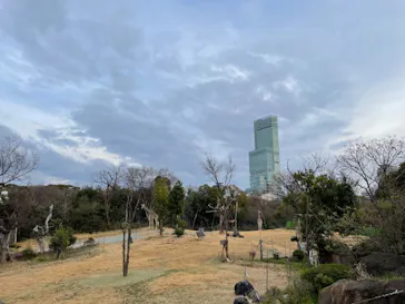 天王寺動物園に投稿された画像（2021/2/28）