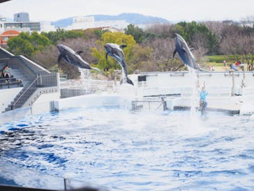 京都水族館に投稿された画像（2021/2/28）