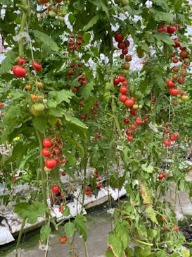 くらもとファームに投稿された画像（2021/2/28）