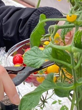 くらもとファームに投稿された画像（2021/2/28）