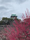 大阪城天守閣に投稿された画像（2021/2/28）