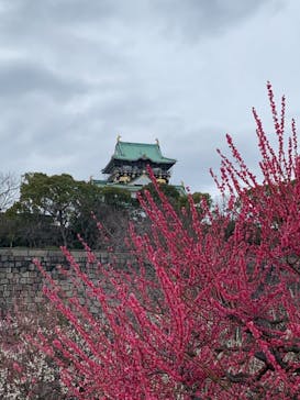 大阪城天守閣に投稿された画像（2021/2/28）