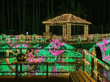 美らヤシパークオキナワ・東南植物楽園に投稿された画像（2021/2/28）