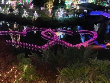 美らヤシパークオキナワ・東南植物楽園に投稿された画像（2021/2/28）