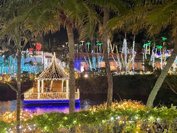 美らヤシパークオキナワ・東南植物楽園に投稿された画像（2021/2/28）