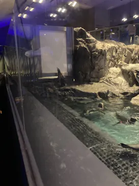 すみだ水族館に投稿された画像（2021/3/1）