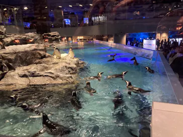すみだ水族館に投稿された画像（2021/3/1）