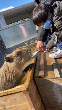 那須どうぶつ王国に投稿された画像（2021/3/1）