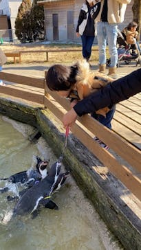 那須どうぶつ王国に投稿された画像（2021/3/1）