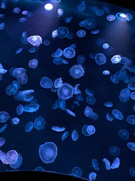 すみだ水族館に投稿された画像（2021/3/1）