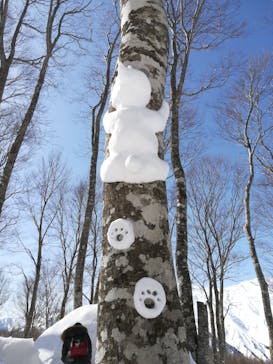 白馬岩岳スノーフィールドに投稿された画像（2021/3/1）