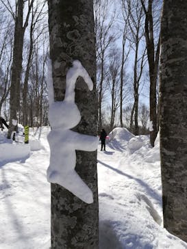 白馬岩岳スノーフィールドに投稿された画像（2021/3/1）