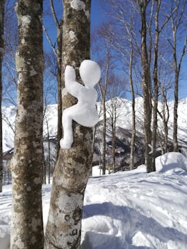 白馬岩岳スノーフィールドに投稿された画像（2021/3/1）