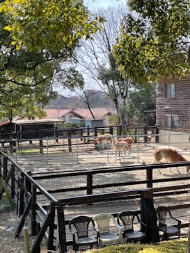 野外民族博物館 リトルワールドに投稿された画像（2021/3/1）