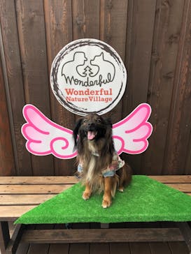 わんダフルネイチャーヴィレッジに投稿された画像（2021/3/1）