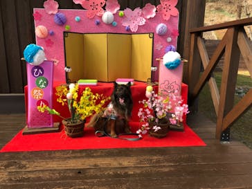 わんダフルネイチャーヴィレッジに投稿された画像（2021/3/1）