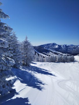 志賀高原マウンテンリゾートに投稿された画像（2021/3/1）