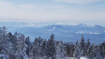 志賀高原マウンテンリゾートに投稿された画像（2021/3/1）