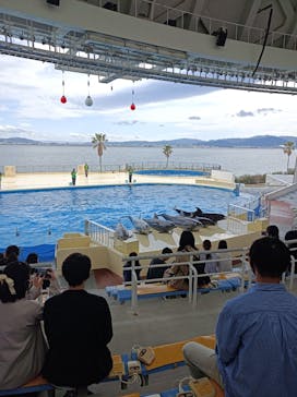 マリンワールド海の中道に投稿された画像（2021/3/1）