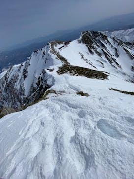 白馬八方尾根スキー場に投稿された画像（2021/3/1）