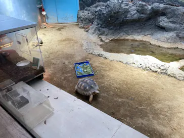 天王寺動物園に投稿された画像（2021/3/1）