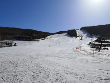 白樺高原国際スキー場に投稿された画像（2021/3/2）