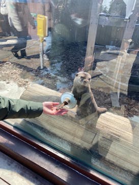 横浜・八景島シーパラダイスに投稿された画像（2021/3/2）