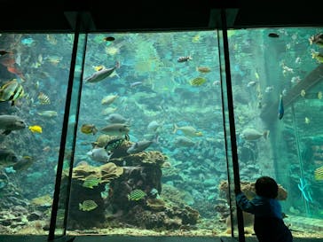 串本海中公園水族館に投稿された画像（2021/3/2）