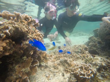 武藤潜水に投稿された画像（2021/3/2）