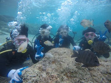 武藤潜水に投稿された画像（2021/3/2）