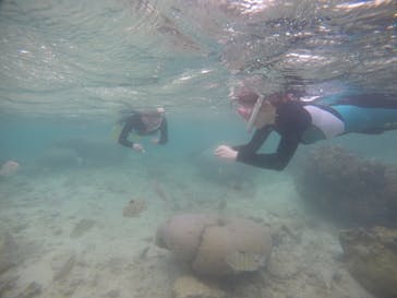 武藤潜水に投稿された画像（2021/3/2）