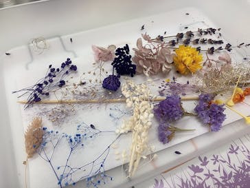 ずこうしつ〜sugamo〜に投稿された画像（2021/3/2）