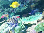 サンシャイン水族館に投稿された画像（2021/3/2）