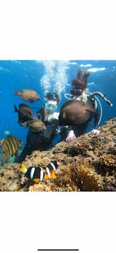 MalDive（モルダイブ）に投稿された画像（2021/3/2）