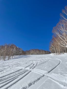 志賀高原焼額山スキー場に投稿された画像（2021/3/2）