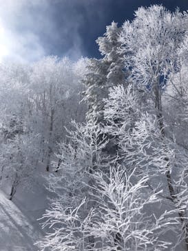 志賀高原マウンテンリゾートに投稿された画像（2021/3/3）