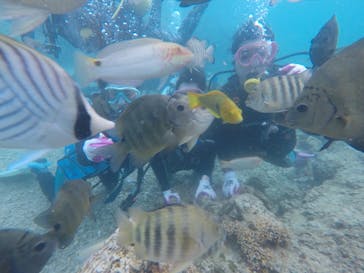 武藤潜水に投稿された画像（2021/3/3）