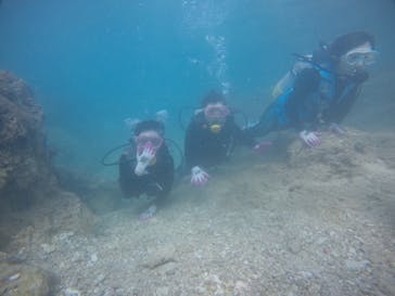 武藤潜水に投稿された画像（2021/3/3）