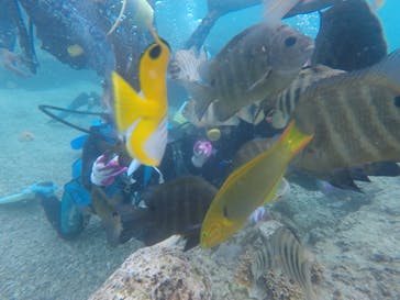 武藤潜水に投稿された画像（2021/3/3）