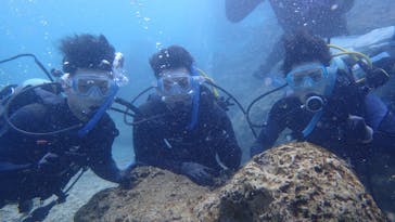 ダイビングショップ Sea Free（シーフリー）に投稿された画像（2021/3/3）