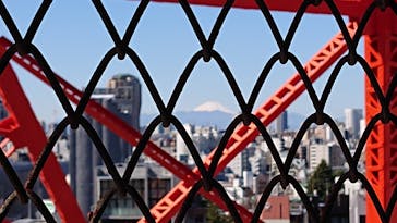 東京タワーに投稿された画像（2021/3/3）