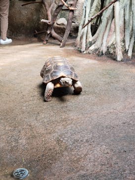 那須どうぶつ王国に投稿された画像（2021/3/3）