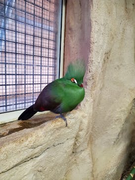 那須どうぶつ王国に投稿された画像（2021/3/3）